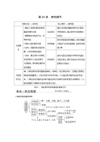 高中生物高考第23讲　神经调节