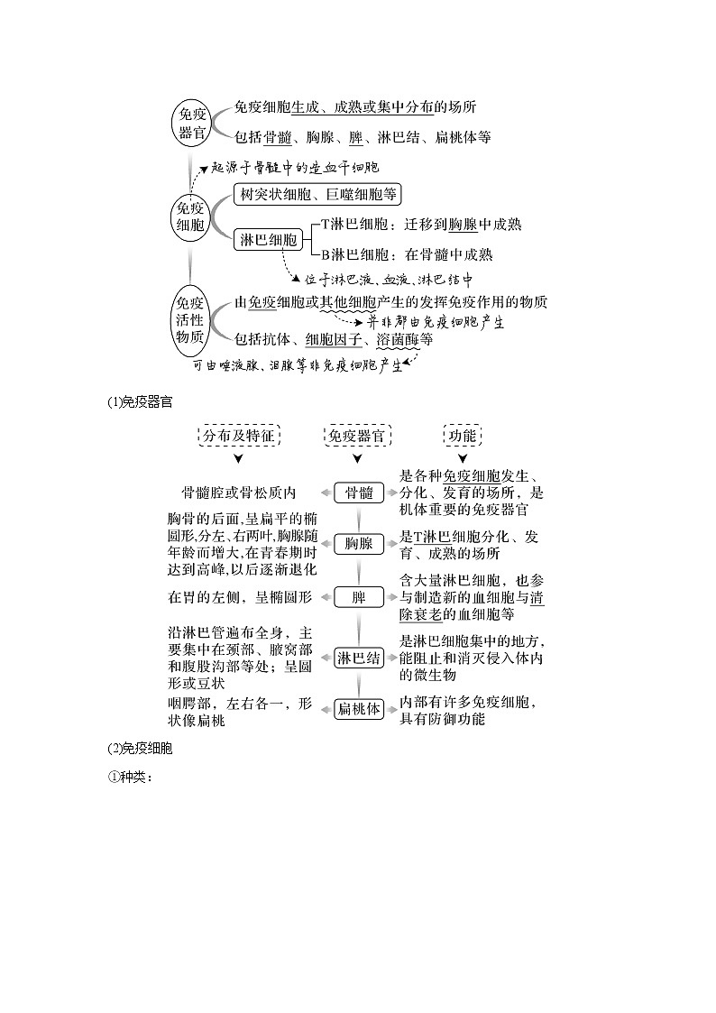 高中生物高考第25讲　免疫调节 试卷02