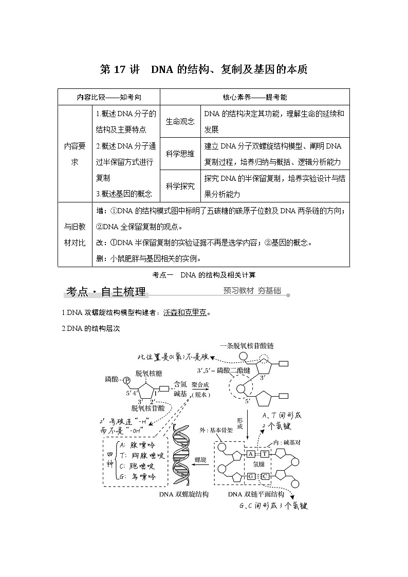 高中生物高考第17讲　DNA的结构、复制及基因的本质 试卷01