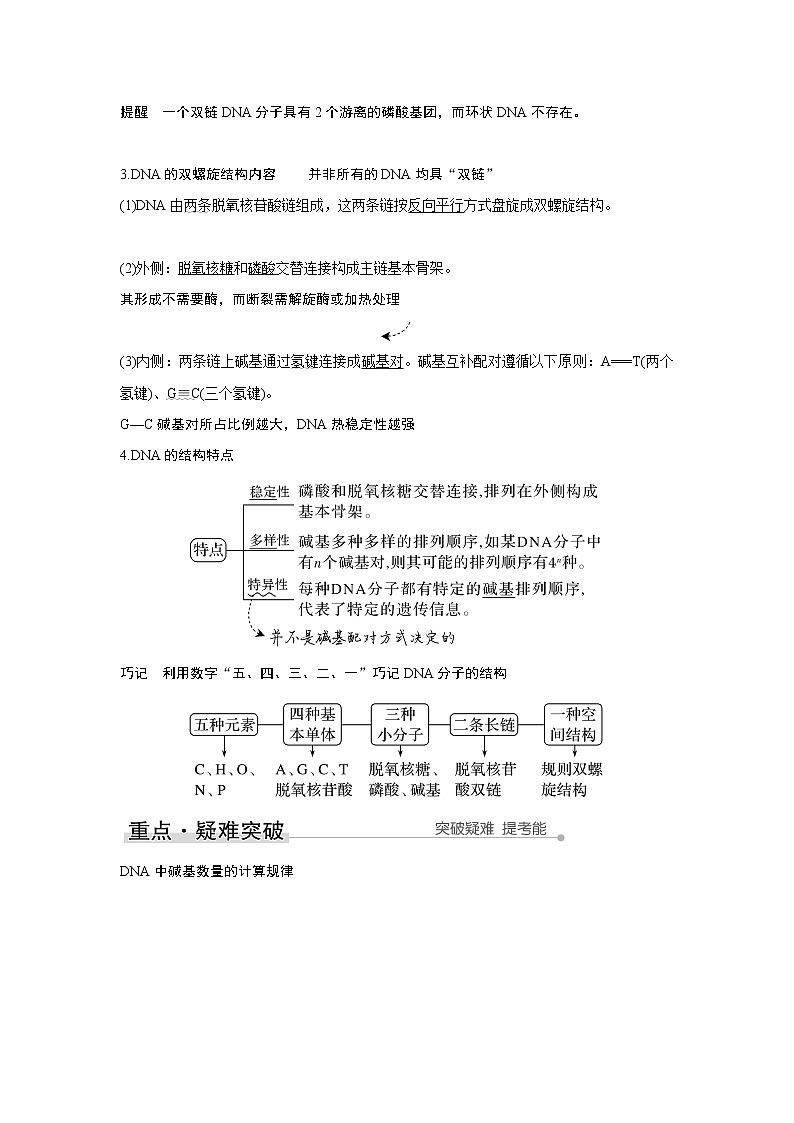 高中生物高考第17讲　DNA的结构、复制及基因的本质 试卷02