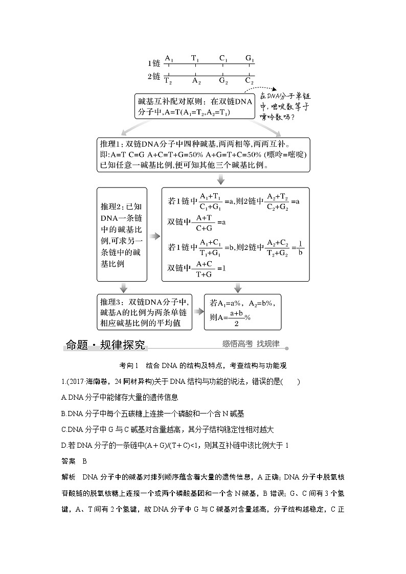 高中生物高考第17讲　DNA的结构、复制及基因的本质 试卷03