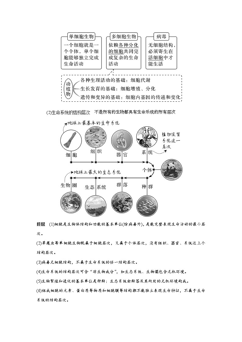高中生物高考第1讲　借助显微镜走近细胞第3页