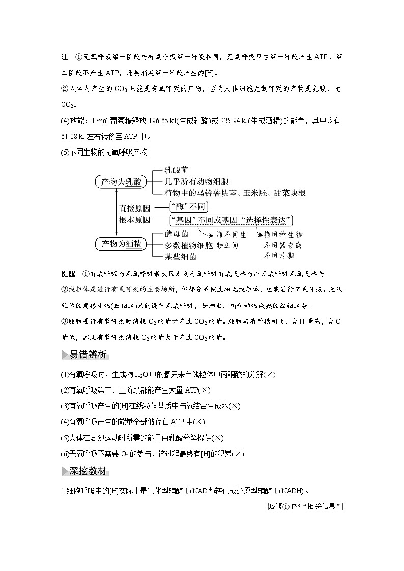 高中生物高考第8讲　细胞呼吸的原理和应用第3页