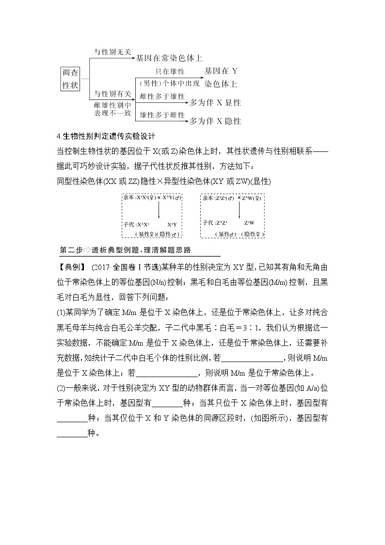 高中生物高考补上一课4 基因位置的确认及遗传实验设计第3页