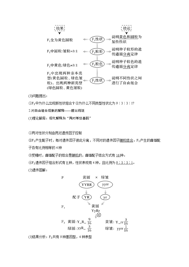 高中生物高考第14讲　基因的自由组合定律第2页