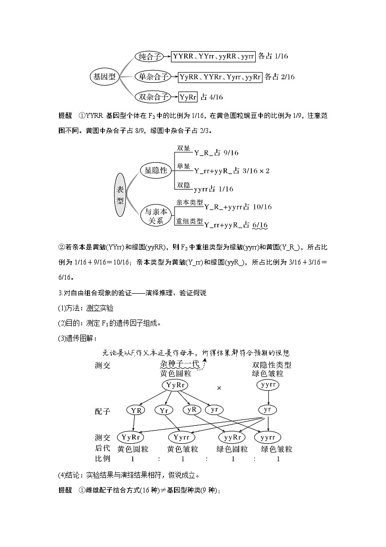 高中生物高考第14讲　基因的自由组合定律第3页