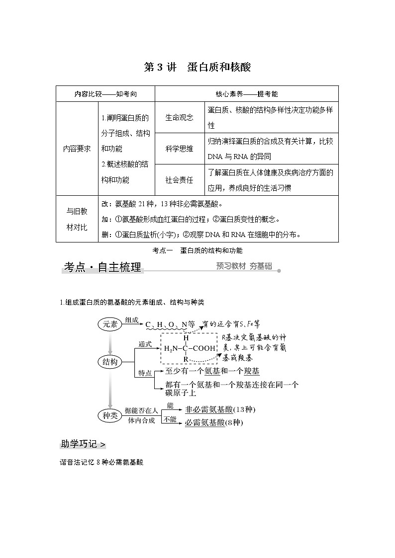 高中生物高考第3讲　蛋白质和核酸第1页