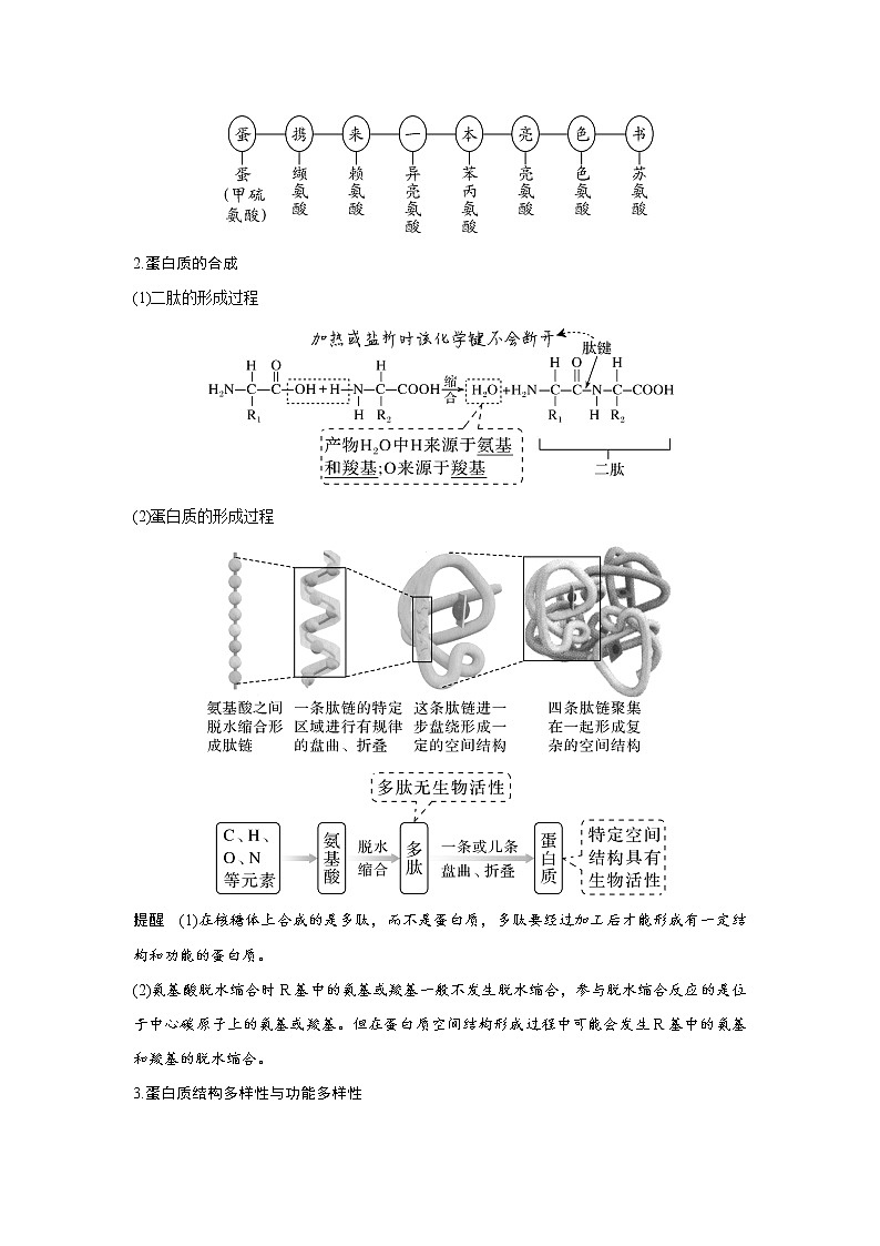 高中生物高考第3讲　蛋白质和核酸第2页