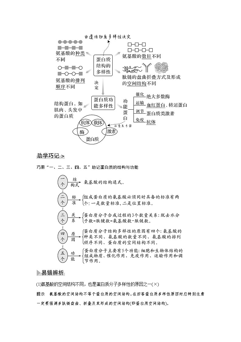 高中生物高考第3讲　蛋白质和核酸第3页