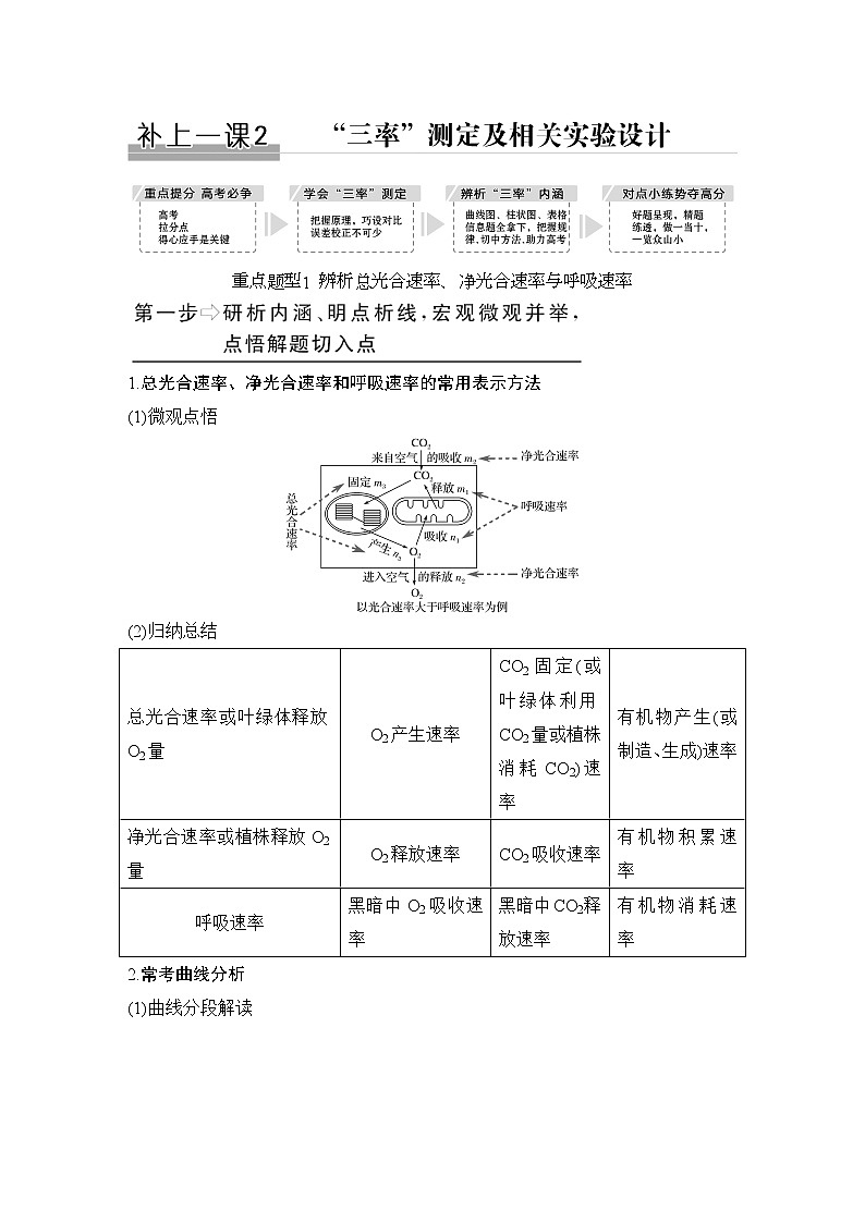 高中生物高考补上一课2 “三率”测定及相关实验设计第1页