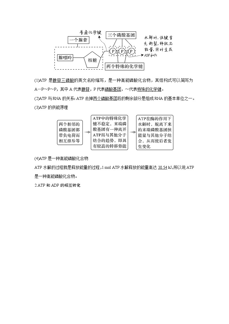 高中生物高考第7讲　ATP和酶第2页