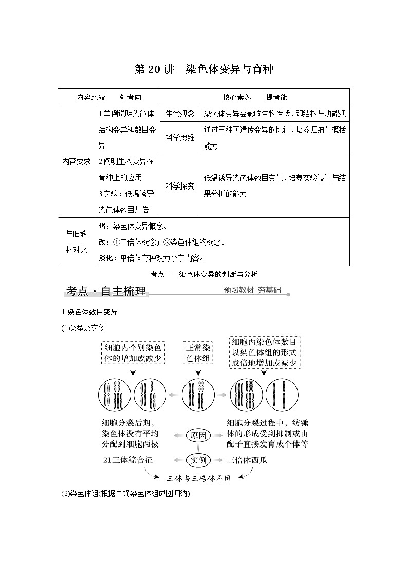 高中生物高考第20讲　染色体变异与育种 试卷01