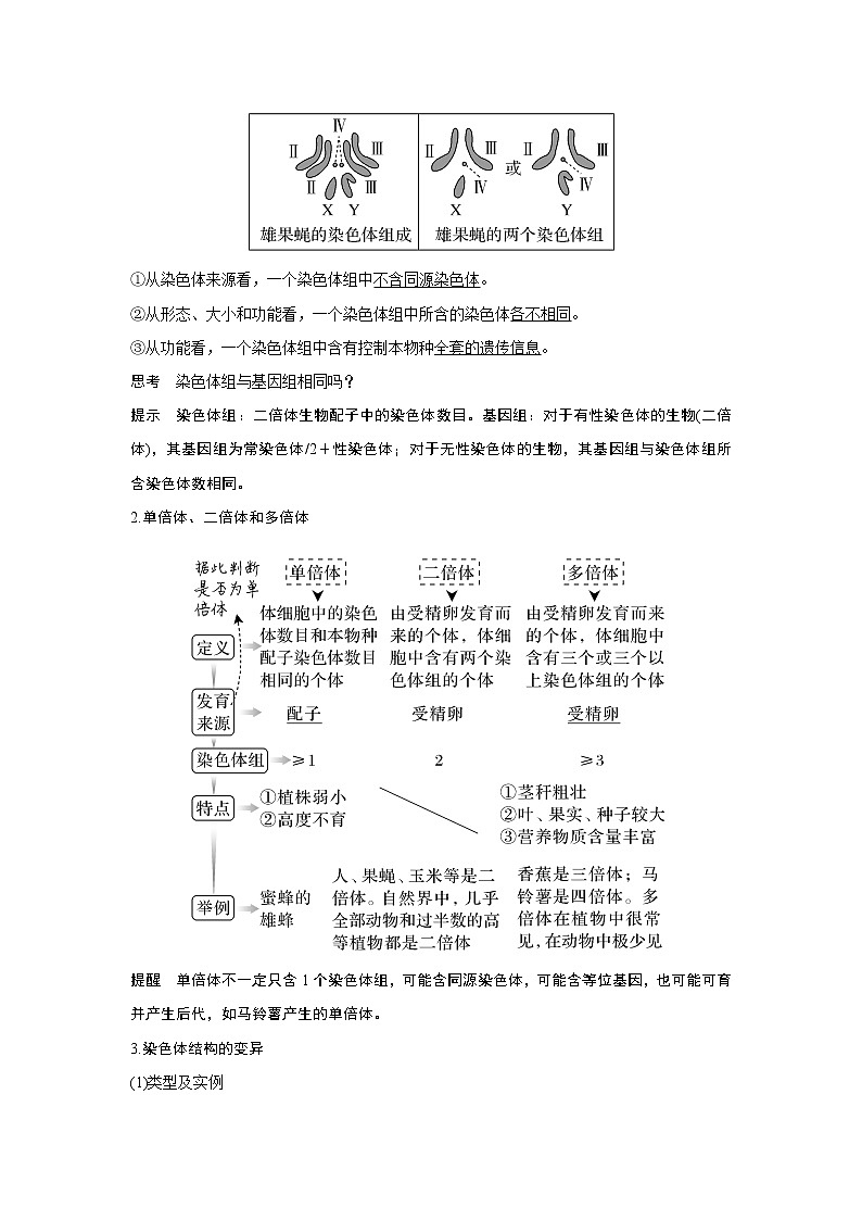 高中生物高考第20讲　染色体变异与育种 试卷02