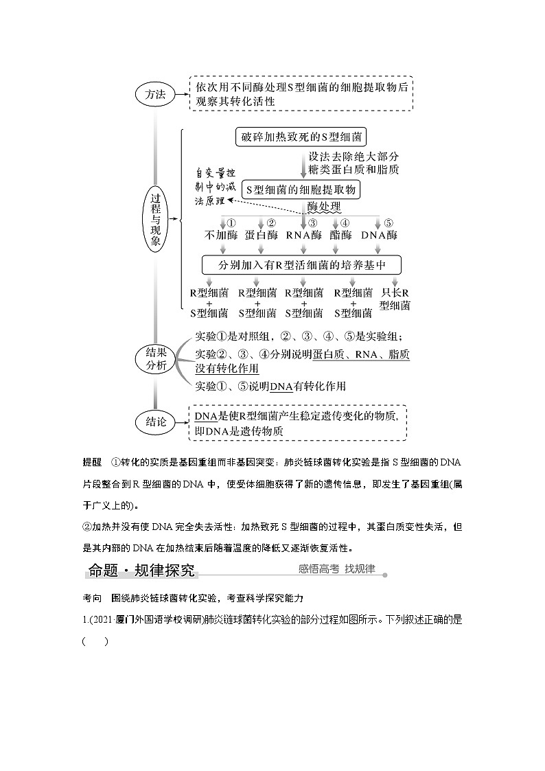 高中生物高考第16讲　人类对遗传物质的探索过程第3页