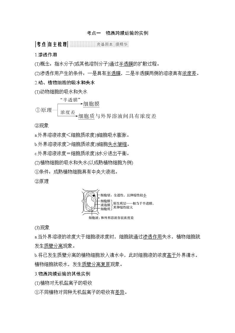 高中生物高考必修一 第二单元 第6讲第2页