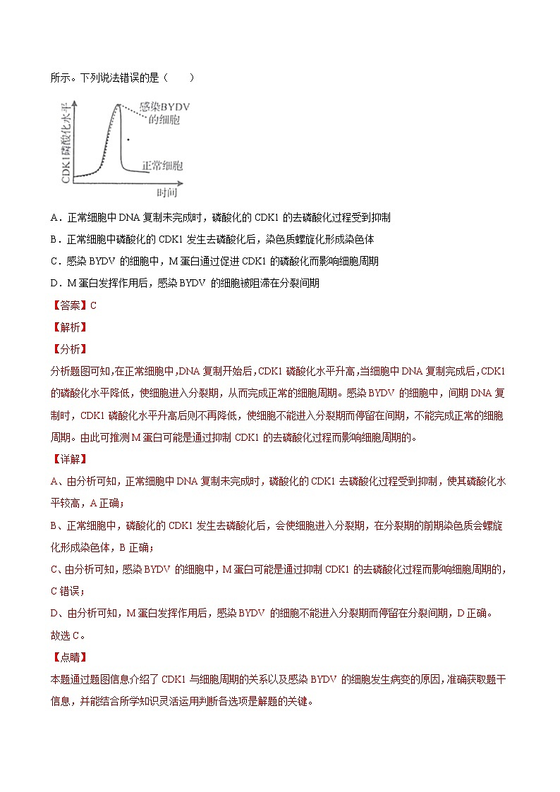 高中生物高考第四单元 细胞的生命历程（作业）02