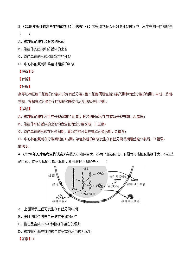 高中生物高考第四单元 细胞的生命历程（作业）03