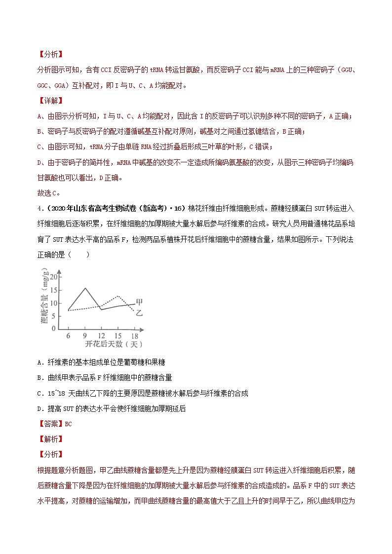 高中生物高考第五单元 遗传的分子基础（作业）03
