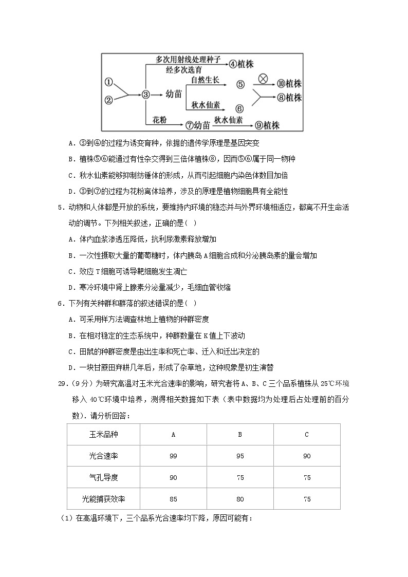 高中生物高考甘肃省武威市第六中学2019届高三生物第六次诊断考试试题02
