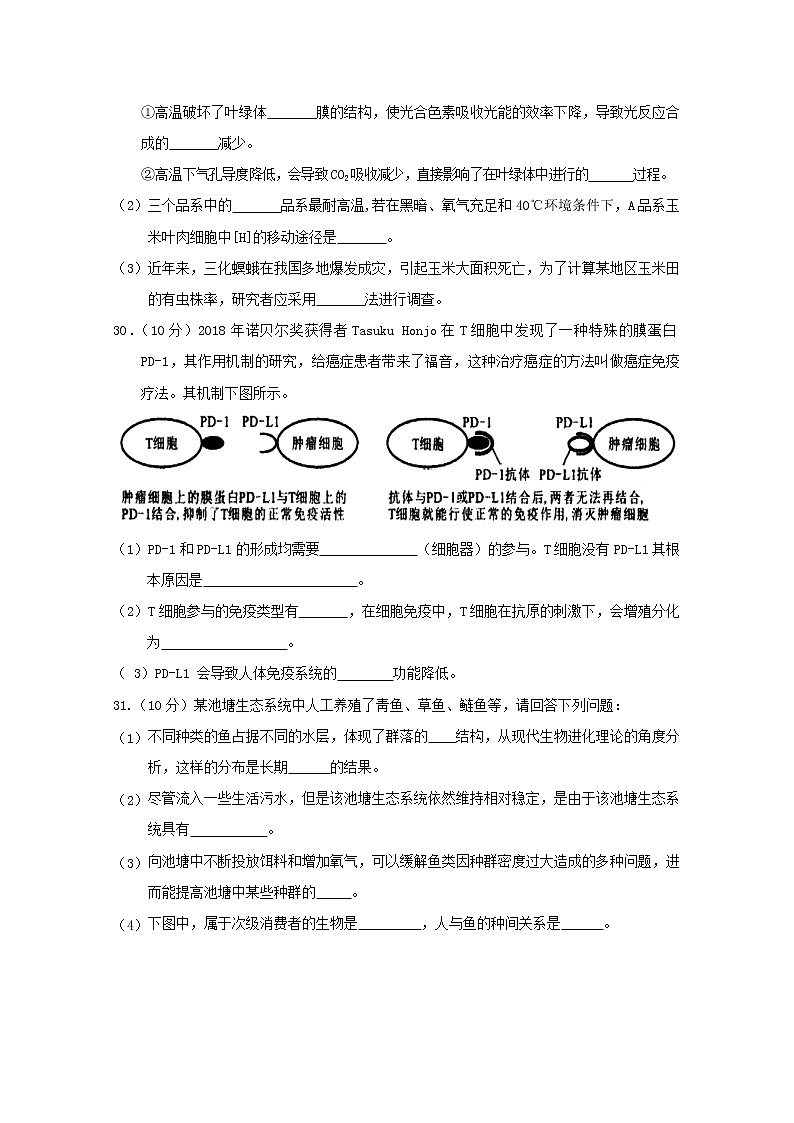 高中生物高考甘肃省武威市第六中学2019届高三生物第六次诊断考试试题03