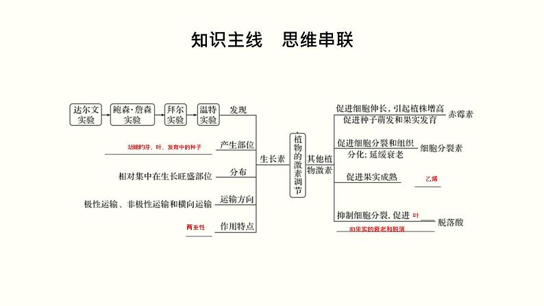 高中生物高考第九单元 植物的激素调节（课件）第2页