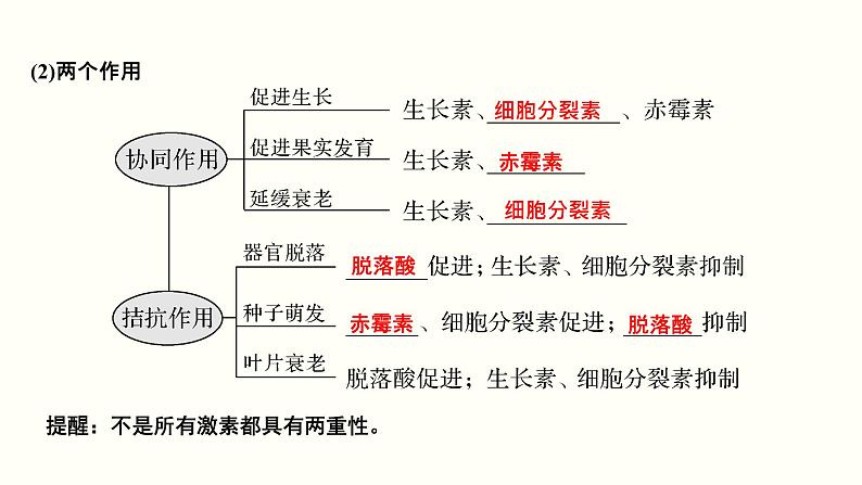 高中生物高考第九单元 植物的激素调节（课件）第6页