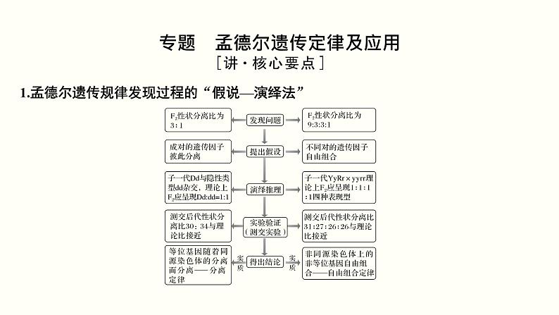 高中生物高考第六单元 遗传的基本规律（课件）03