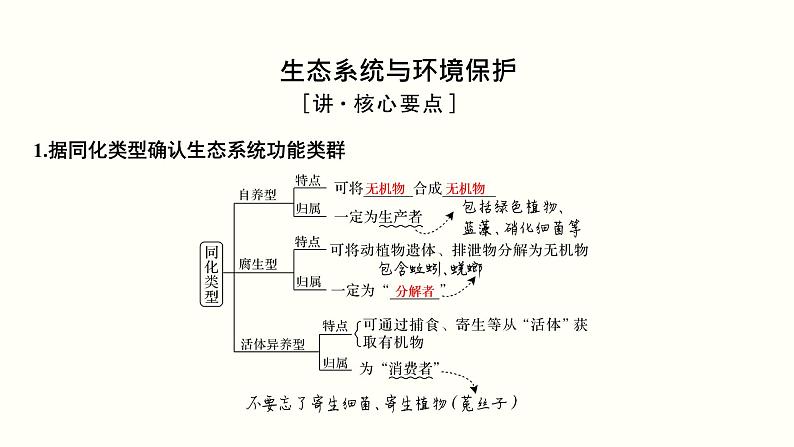 高中生物高考第十三单元 生态系统与环境保护（课件）第3页