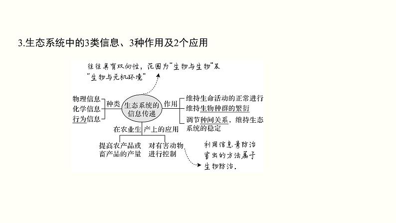 高中生物高考第十三单元 生态系统与环境保护（课件）第6页