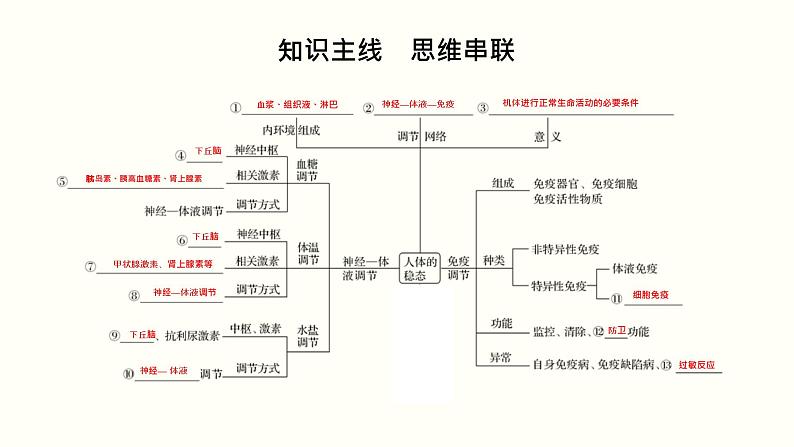 高中生物高考第十一单元 神经调节、体液调节与免疫调节（课件）第2页