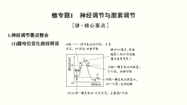 高中生物高考第十一单元 神经调节、体液调节与免疫调节（课件）第3页