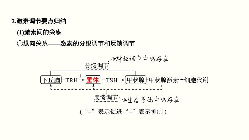 高中生物高考第十一单元 神经调节、体液调节与免疫调节（课件）第6页