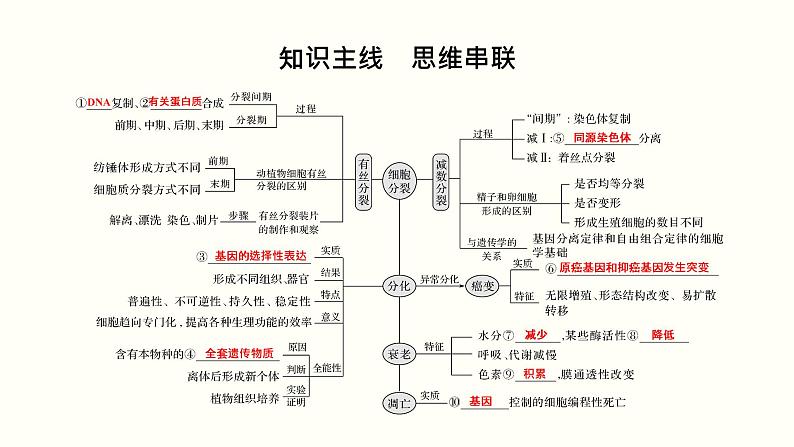 高中生物高考第四单元 细胞的生命历程（课件）第2页