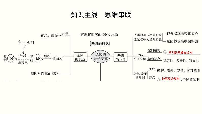 高中生物高考第五单元 遗传的分子基础（课件）第2页