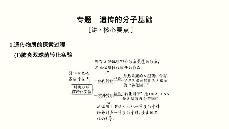 高中生物高考第五单元 遗传的分子基础（课件）第3页