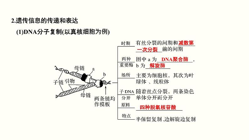 高中生物高考第五单元 遗传的分子基础（课件）第6页