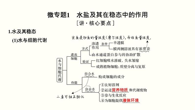 高中生物高考第一单元 细胞的组成与结构（课件）03