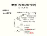 高中生物高考第一单元 细胞的组成与结构（课件）