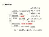 高中生物高考第一单元 细胞的组成与结构（课件）