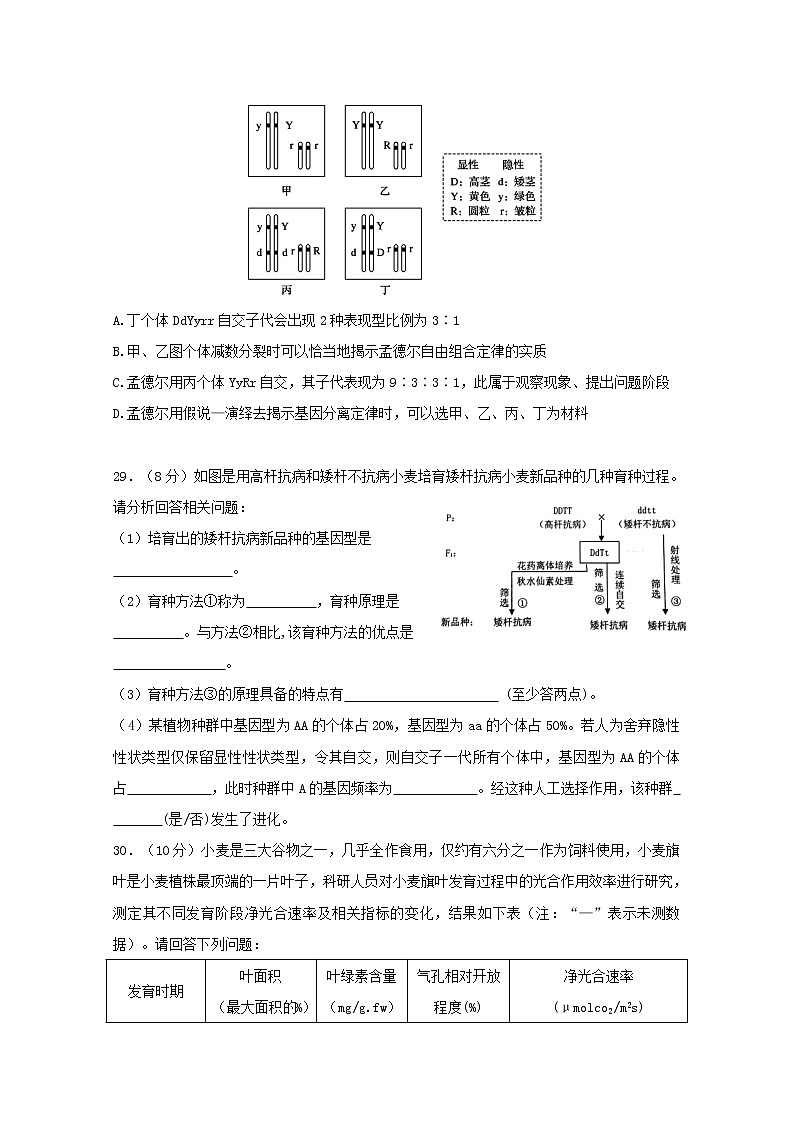 高中生物高考黑龙江省哈尔滨市第六中学2019届高三生物冲刺押题卷（二）第3页