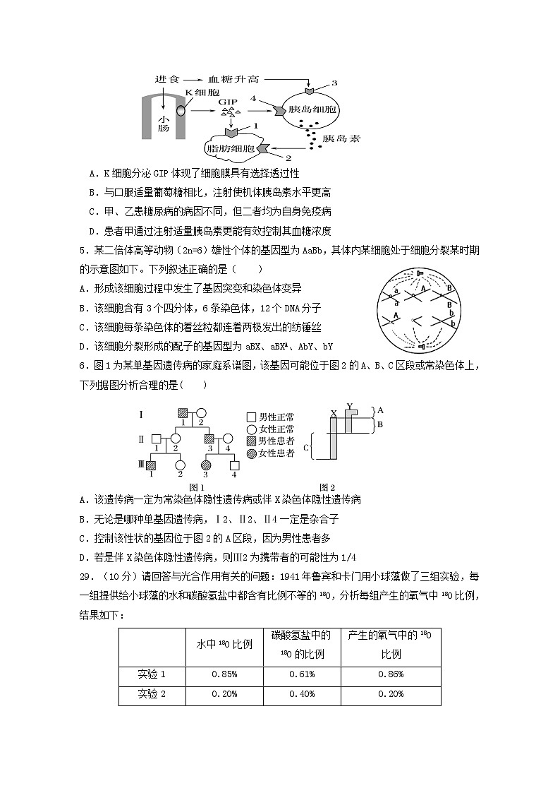 高中生物高考湖南省衡阳县第三中学2019届高三生物5月模拟试题第2页
