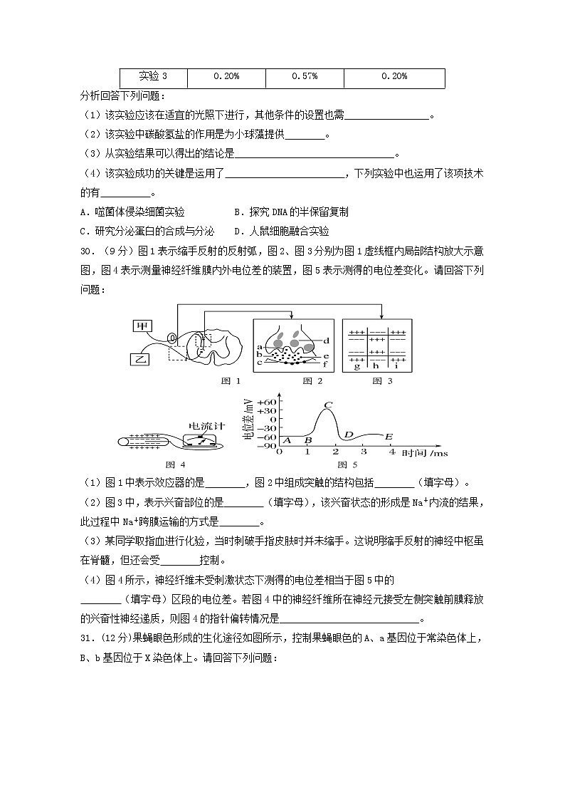 高中生物高考湖南省衡阳县第三中学2019届高三生物5月模拟试题第3页