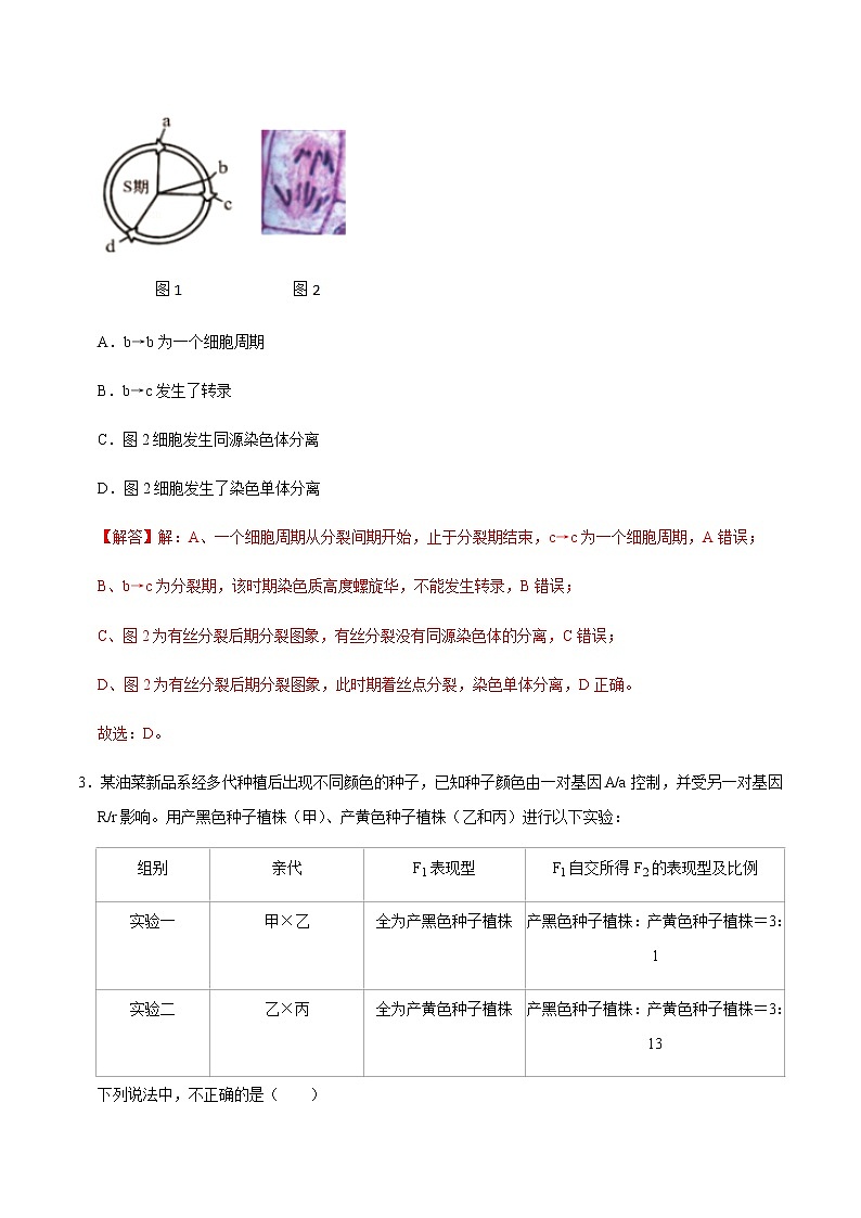 高中生物高考黄金卷03-【赢在高考•黄金20卷】备战2021高考生物全真模拟卷（新课标）（解析版）02