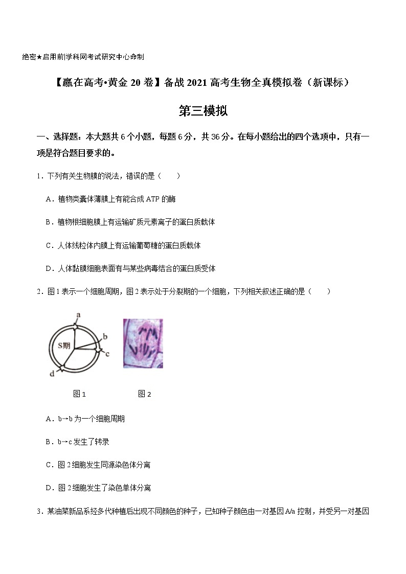 高中生物高考黄金卷03-【赢在高考•黄金20卷】备战2021高考生物全真模拟卷（新课标）（原卷版）第1页