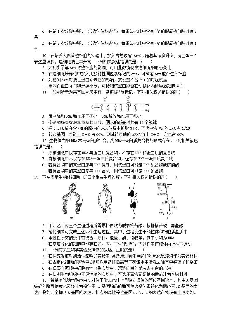 高中生物高考江苏省南京师大附中2019届高三生物5月最后一卷试题第3页