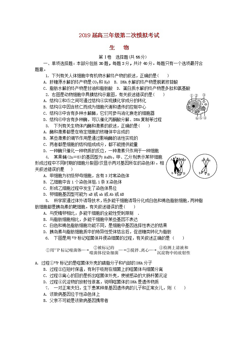 高中生物高考江苏省泰州、南通、扬州、苏北四市七市2019届高三生物第二次模拟考试试题第1页