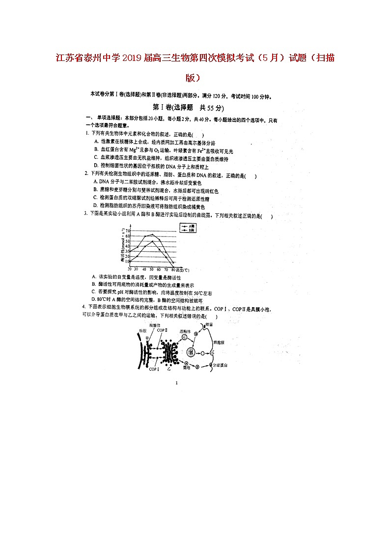 高中生物高考江苏省泰州中学2019届高三生物第四次模拟考试（5月）试题（扫描版）01