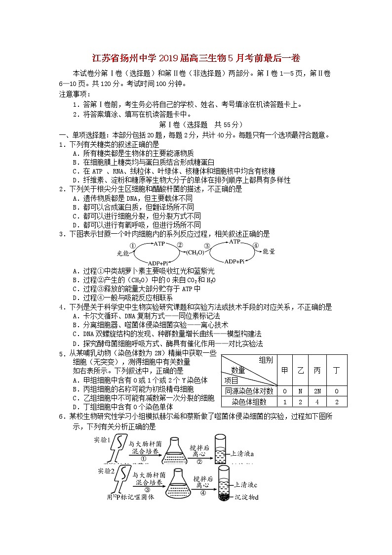 高中生物高考江苏省扬州中学2019届高三生物5月考前最后一卷01