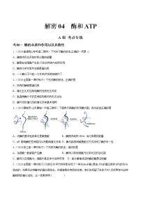 高中生物高考解密04 酶和ATP（分层训练）（原卷版）
