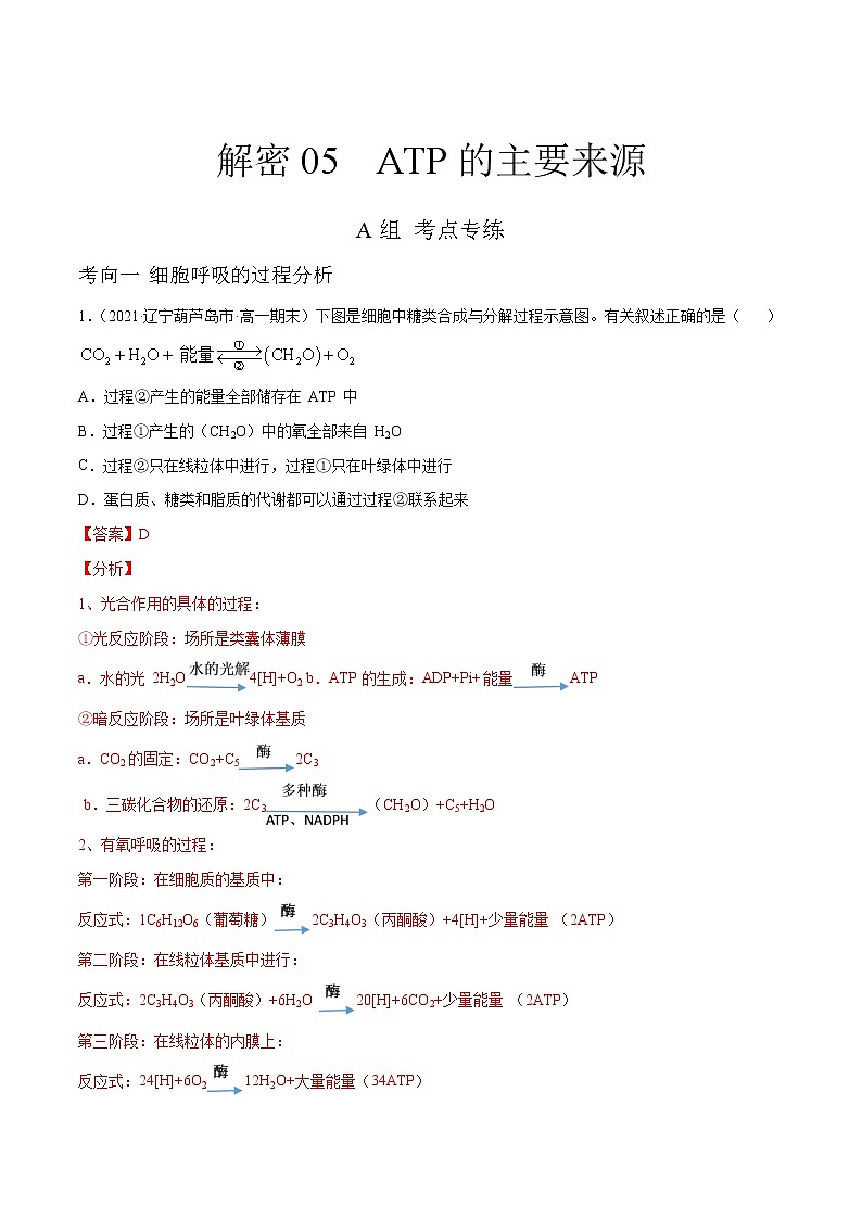 高中生物高考解密05 ATP的主要来源（分层训练）（解析版）第1页